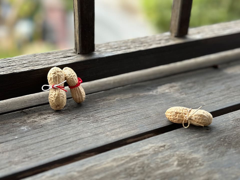 写真：落花生を使った水引作品