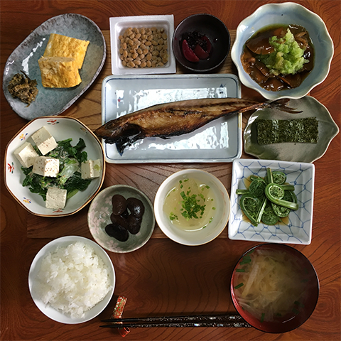 tohoku2019_04.png