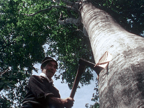 奥会津の木地師