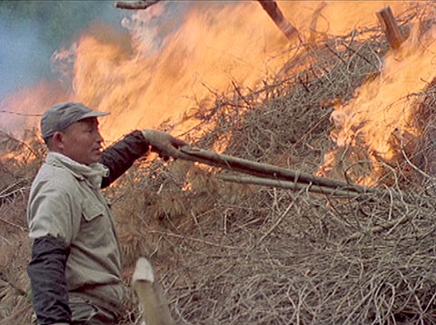 椿山 焼畑に生きる