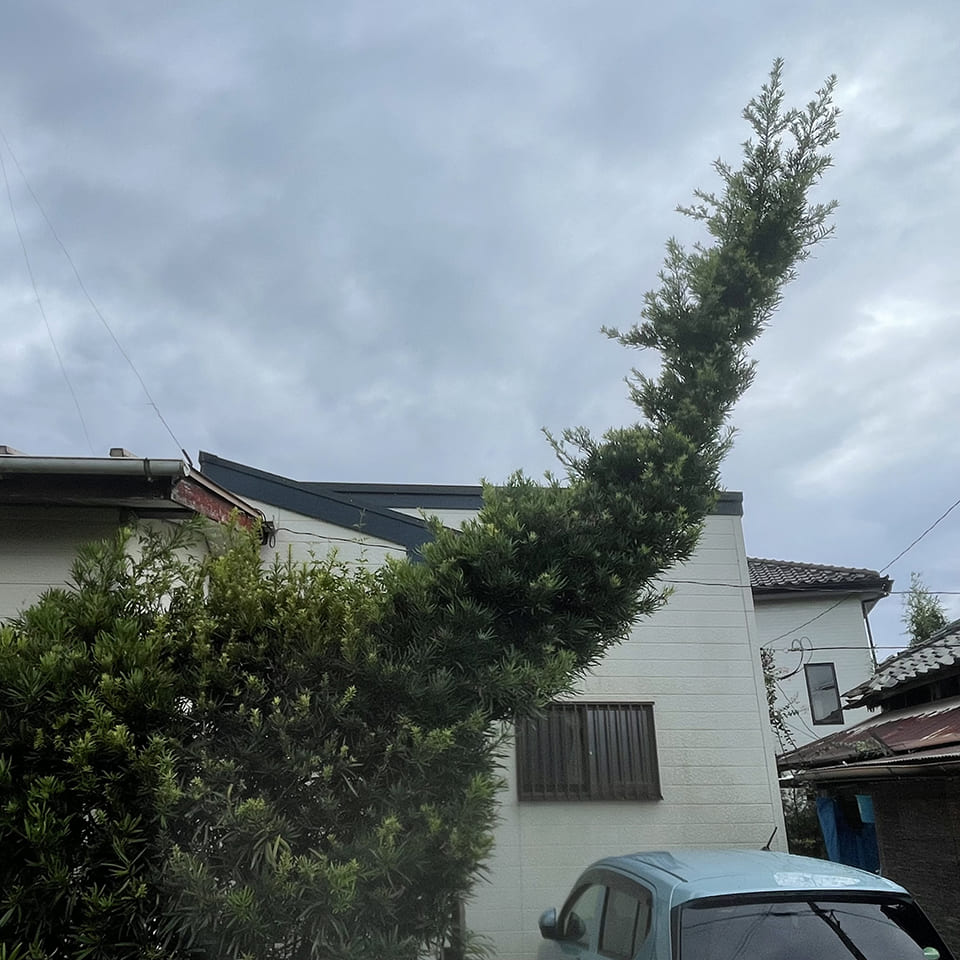 館山市の表情豊かな生け垣 その6