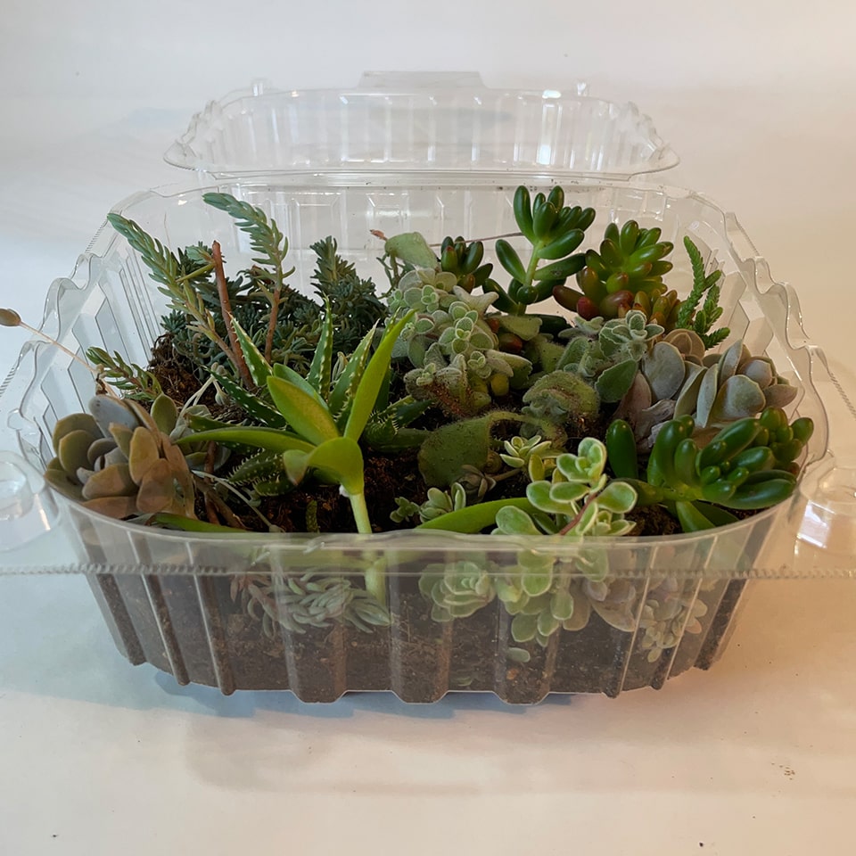 楽焼きの陶器｜小さな美術館｜安房のコワーキングスペース