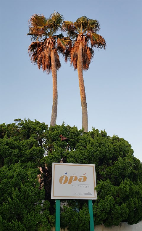 パームツリーが印象的なオーパヴィラージュ。南房総･館山でオーベルジュ ヴァカンス