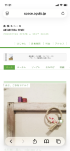 南極スペースサイトキャプチャ画像