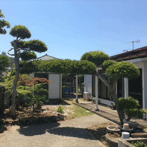 槙の門被りの事例